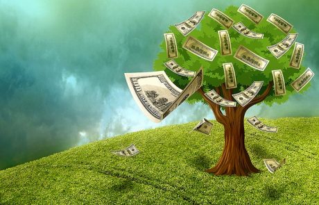 הפוליטיקאים טועים – הכסף כן גדל על העצים