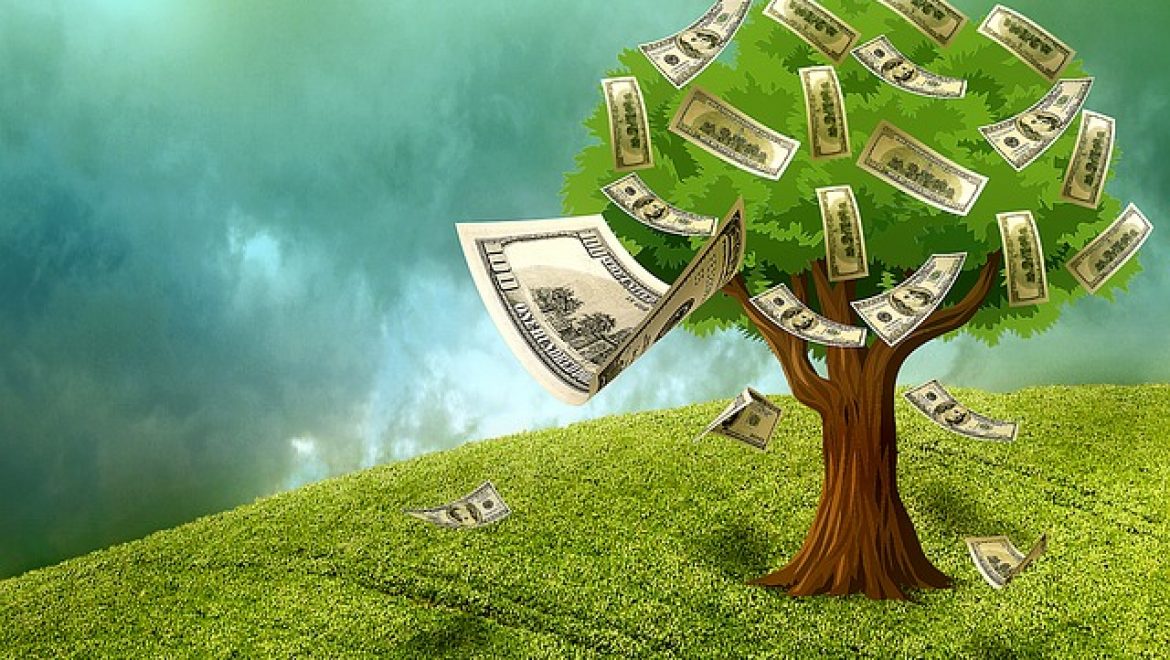 הפוליטיקאים טועים – הכסף כן גדל על העצים