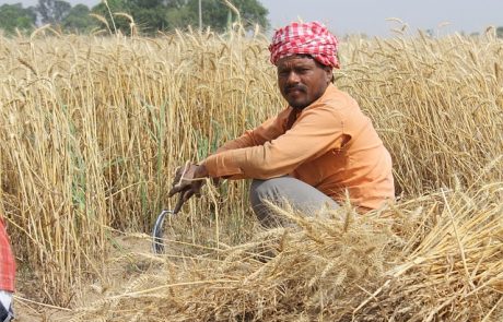 מחקר: 60 אלף חקלאים הודים התאבדו בגלל שינויי האקלים